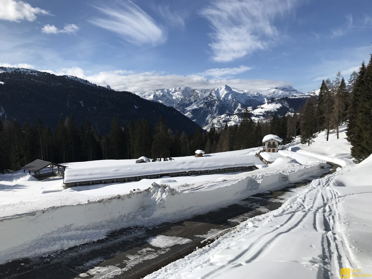 Strada forestale